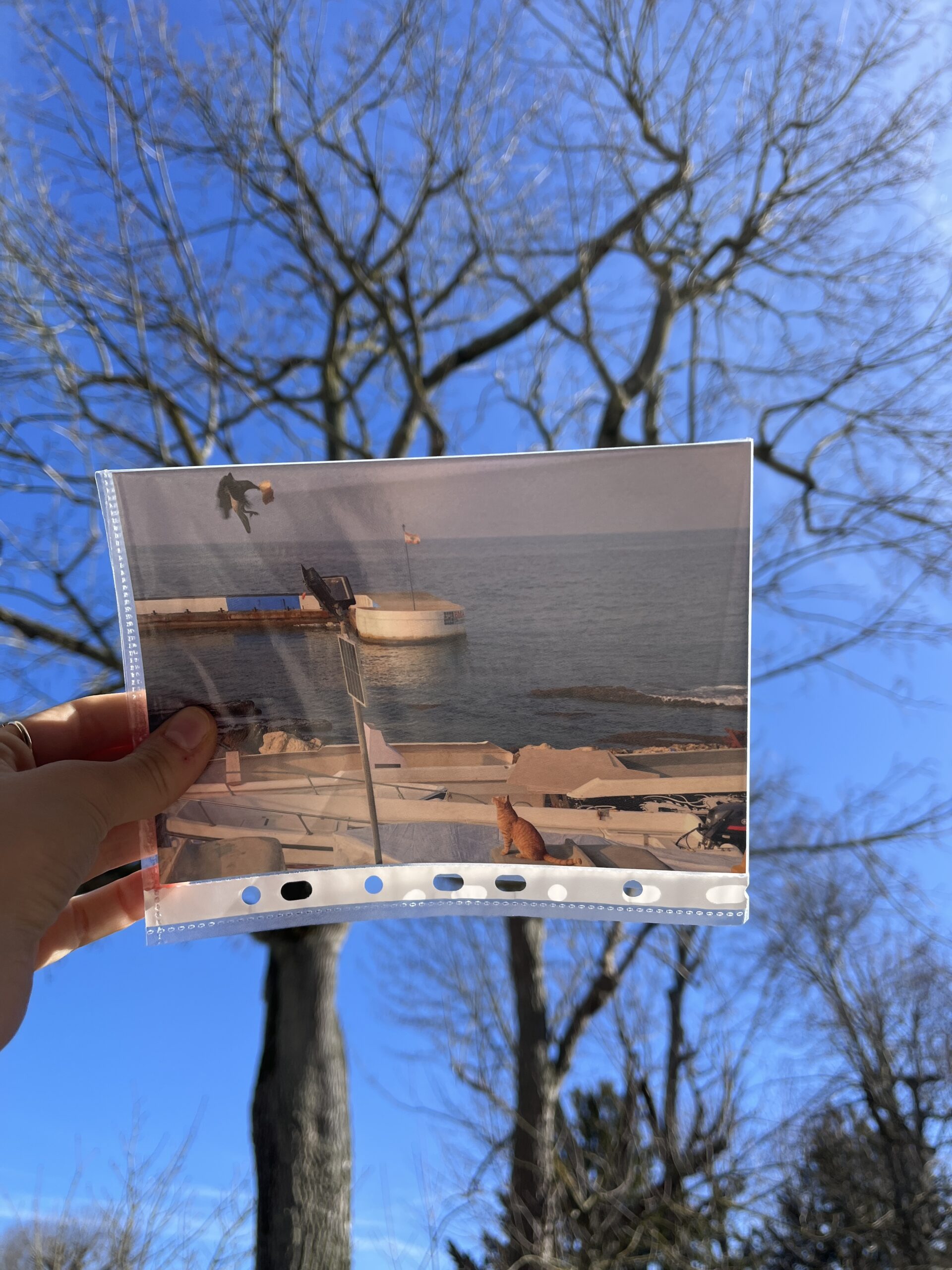 Paris print hunt romyandromeo