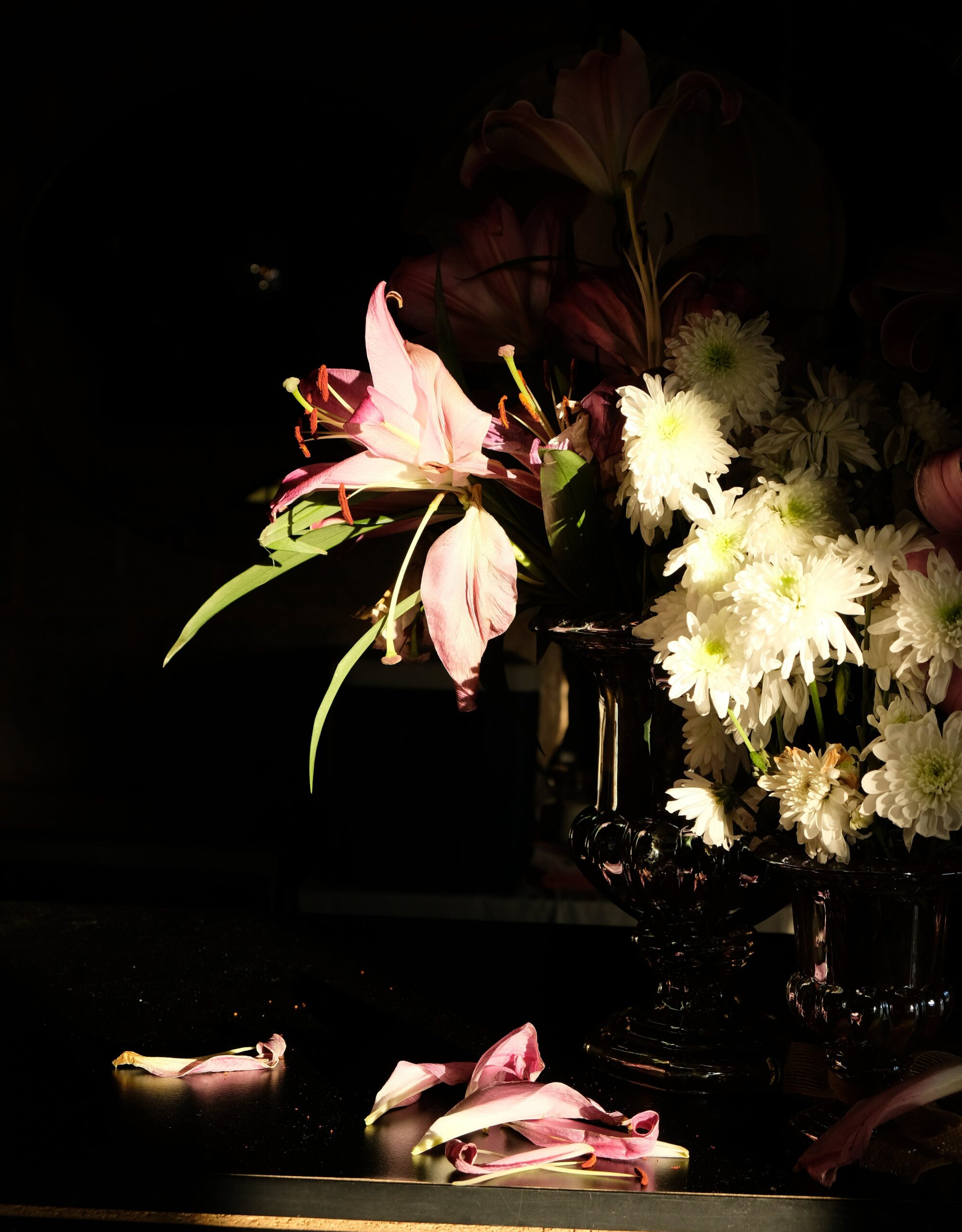 Qortoba x romyandromeo